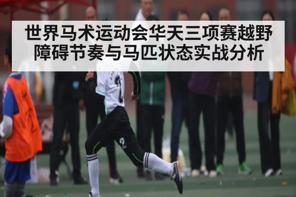 世界马术运动会华天三项赛越野障碍节奏与马匹状态实战分析